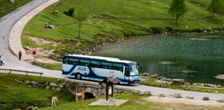 La carretera de los Lagos de Covadonga tendrá un nuevo pavimento en tres semanas