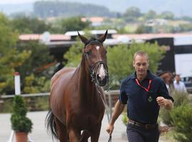 206 caballos y 83 jinetes, listos para salvar obstáculos hacia el triunfo en el CSIO