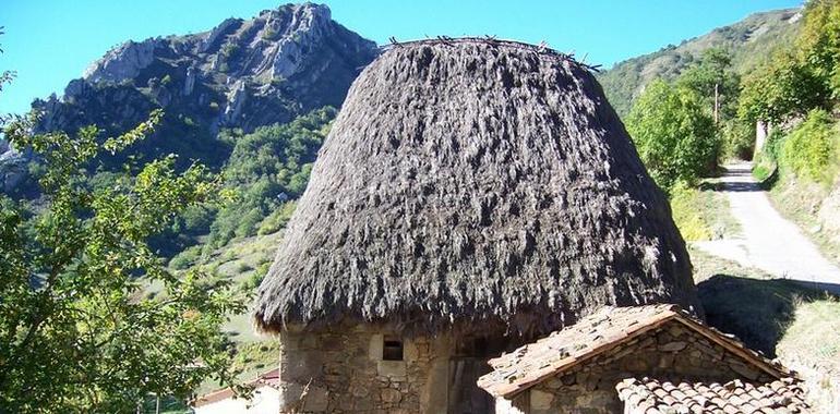 Dos cabanas de teito en as Veigas para el #Ecomuseo de #Somiedo