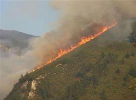 Nivel amarillo, riesgo alto, de incendios en Asturias durante el día de hoy