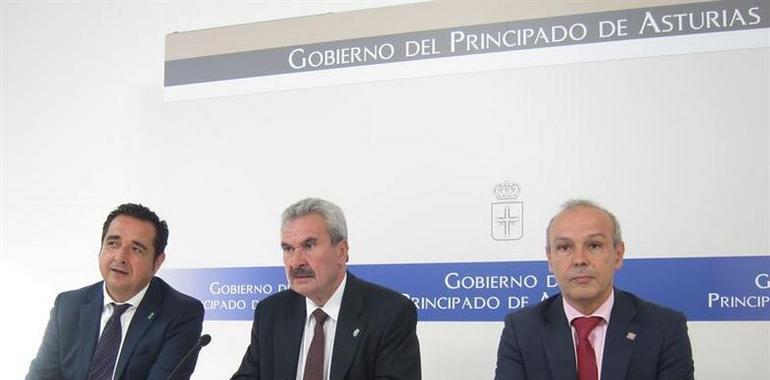 El Principado no tiene constancia oficial de la cancelación de rutas de Vueling y Air Europa