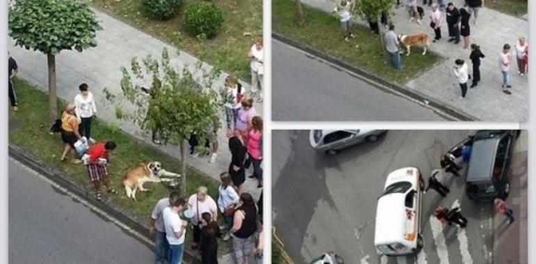 Denuncido conductor que arrastró a su perro atado a su coche en El Entrego