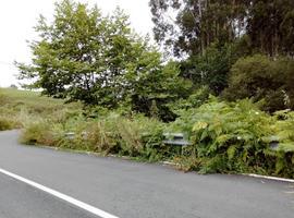 Los matos se comen algunas carreteras del concejo gijonés