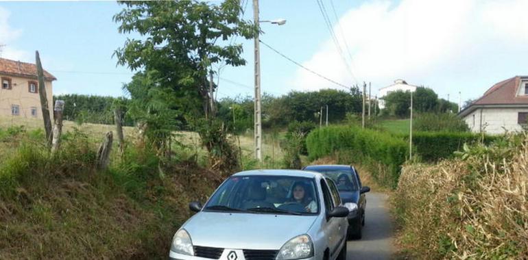 El Ayuntamiento desbroza el acceso al núcleo zoológico El Bosque, en Oviedo