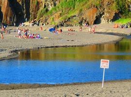 Denuncian vertidos residuales y ganaderos que contaminan la playa de Frexulfe