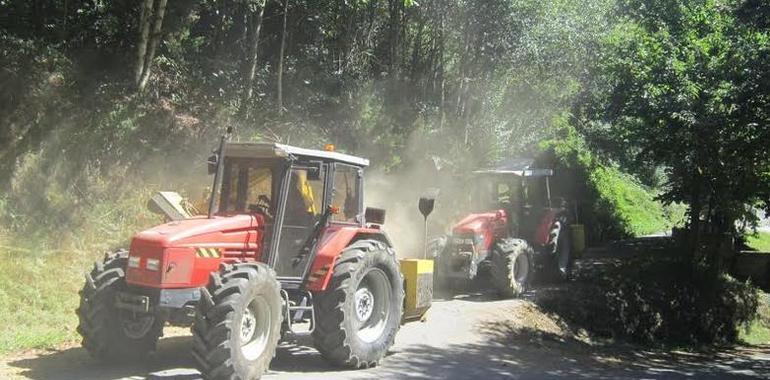 Comienza el desbroce de carreteras locales en Allande