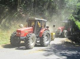 Comienza el desbroce de carreteras locales en Allande