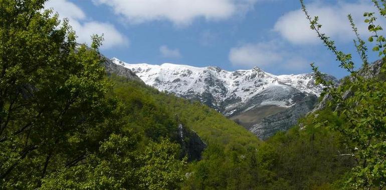 Coordinadora Ecologista pide un incremento sustancial de la protección de espacios en Montaña Central