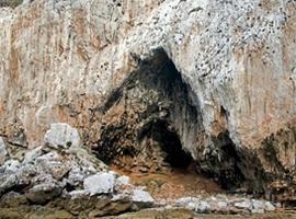 Una cueva de Gibraltar conserva el primer grabado abstracto hecho por neandertales