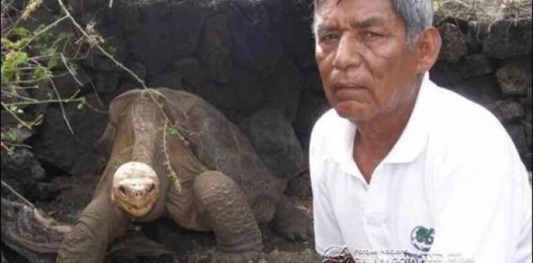 #Galápagos.#Solitario George fue disecado y será exhibido en Nueva York