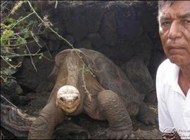 #Galápagos.#Solitario George fue disecado y será exhibido en Nueva York