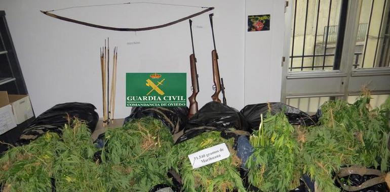 La Guardia Civil desmantela una plantación de marihuana en Pola de Lena