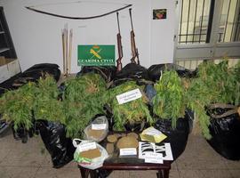 La Guardia Civil desmantela una plantación de marihuana en Pola de Lena