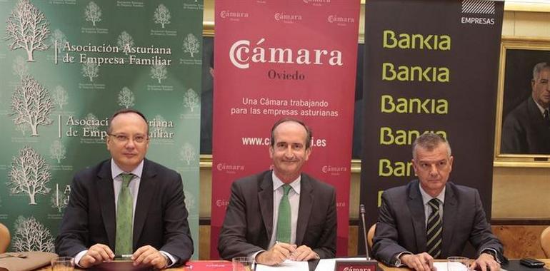 Cámara Oviedo, AEFAS y Bankia falicitarán la formación para 20 #empresas #familiares #asturianas