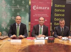 Cámara Oviedo, AEFAS y Bankia falicitarán la formación para 20 #empresas #familiares #asturianas