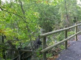 Más de 10,1 millones al acondicionamiento de los Caminos Naturales de Asturias