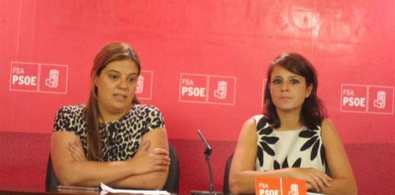 El PSOE "no parará" hasta que retire la reforma del aborto