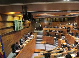 La Junta General, primer parlamento en proponer una reforma constitucional para ampliar la participación ciudadana