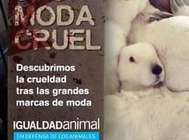 Campaña d#Igualdá #Animal contra la venta de pieles danimales na moda supera les 100.000 firmes