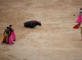 Sánchez nun va prohibir los toros anque ta escontra del maltratu animal