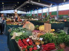 Mercedes Fernández ofrece apoyo a ganaderos y agricultores asturianos en #Agropec 2014