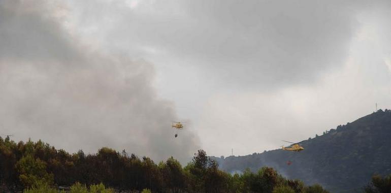 El incendio de Atamaría continúa estabilizado y su perímetro sigue controlado por emergencias 