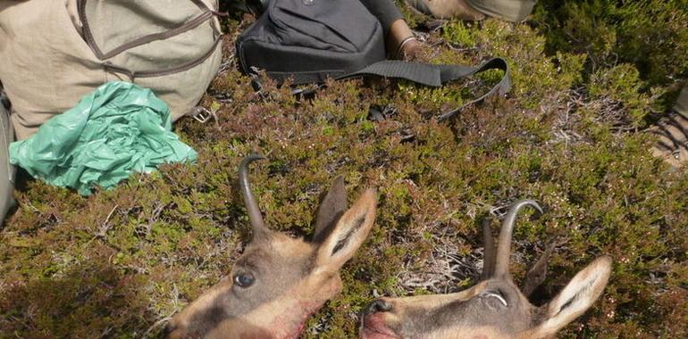 Prohiben al público parte del Parque Nacional de Cabañeros para celebrar cacerías privadas