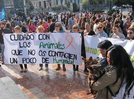 #Ebola. PACMA reclama en Oviedo la dimisión de Mato y condena la liquidación de Excalibur