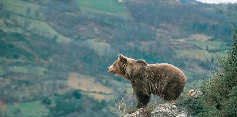 Agroganadería abre el programa de visitas de escolares a los espacios naturales