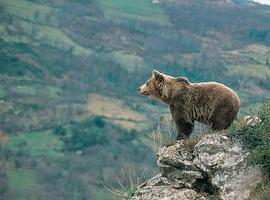 Agroganadería abre el programa de visitas de escolares a los espacios naturales