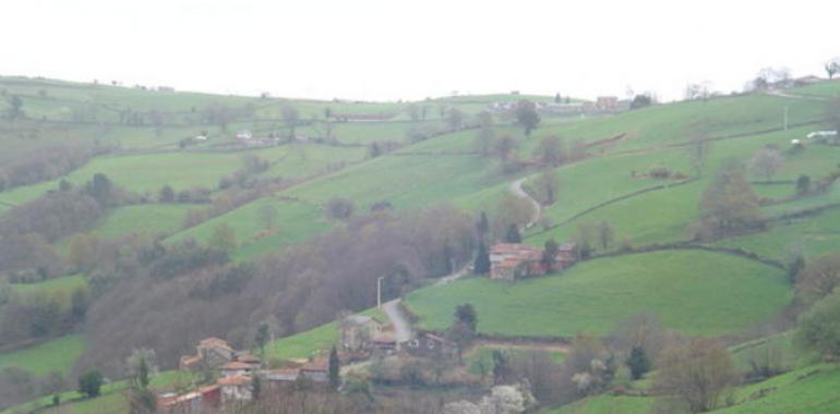 Tineo estrenará una red de 13,9 kilómetros de caminos rurales