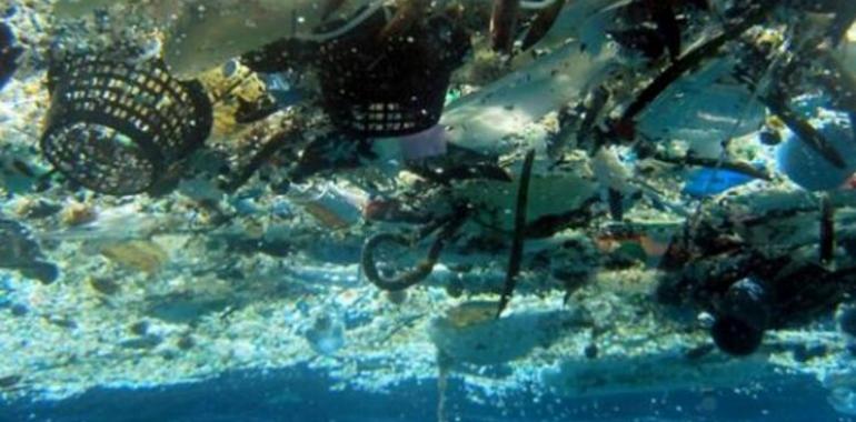 Los desechos plásticos en la mar matan más de 15 millones de animales al año