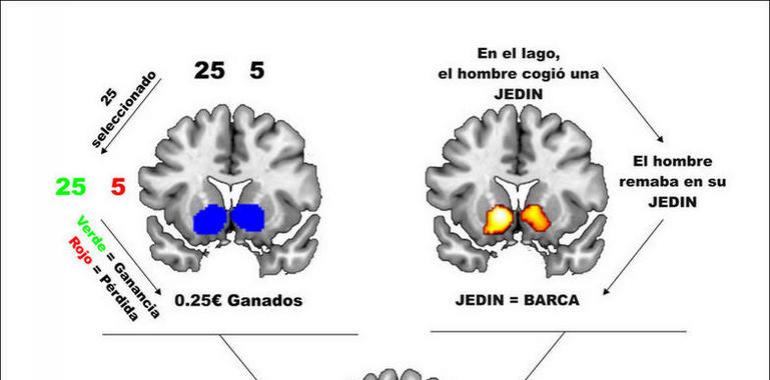 El placer de aprender lenguas, como el sexo o el juego