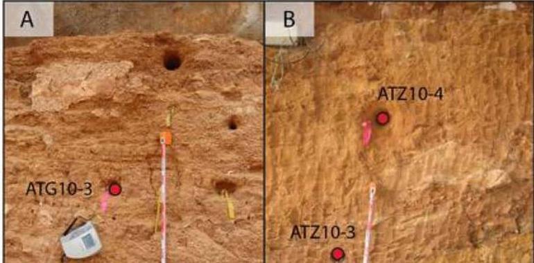 El complejo de galería de Atapuerca podría ser 200.000 años más joven 