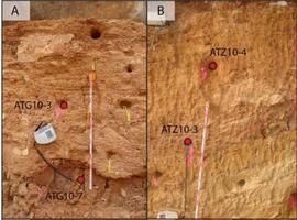 El complejo de galería de Atapuerca podría ser 200.000 años más joven 