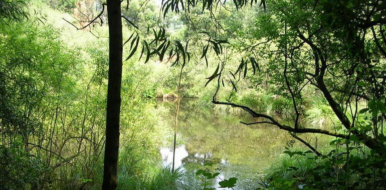 Mineres del Cantábricu reduz la plantiya a la espera de la resolución sobre lImpactu Ambiental en Salave