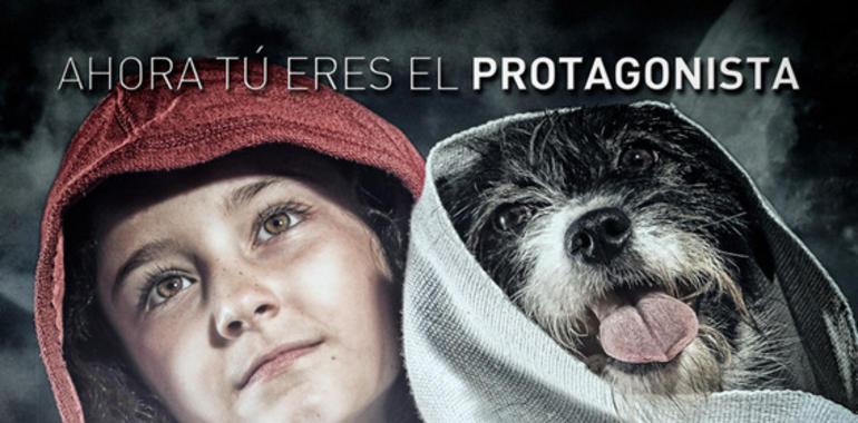 El gijonés Pablo Ventura presenta el calendario benéfico de la Fundación Amigos del Perro