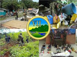 Seis guerrilleros de las FARC regresan a la libertad