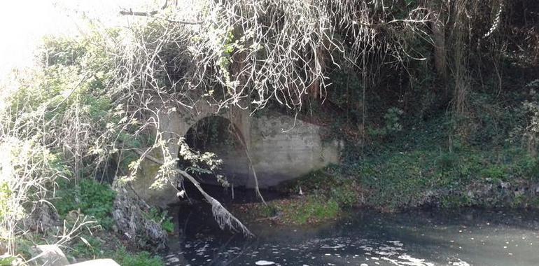 Ecologistas denuncian vertidos de aguas residuales en La Corredoria al río Nora