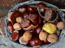 Gascona inicia hoy las Jornadas Gastronómicas de la castaña