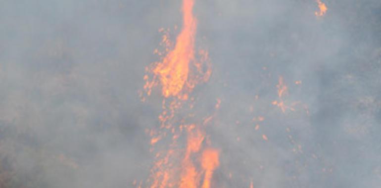 Piden ocho meses de cárcel para el acusado de provocar un incendio forestal en Quirós