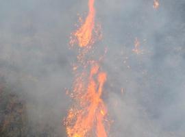 Piden ocho meses de cárcel para el acusado de provocar un incendio forestal en Quirós