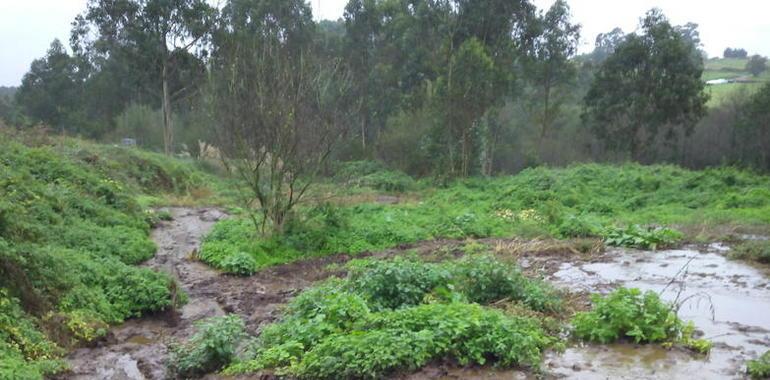 Ecologistas denuncian una laguna de vertidos de purines junto a una carretera de Corvera