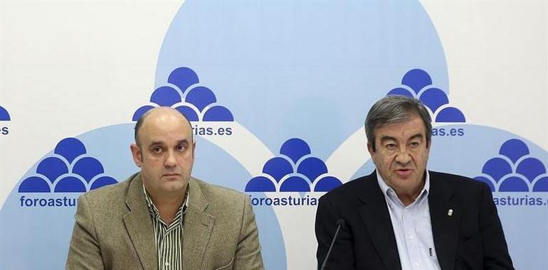 Cascos:El artículo de la Loreg sobre incompatibilidades de diputados no es aplicable en Asturias