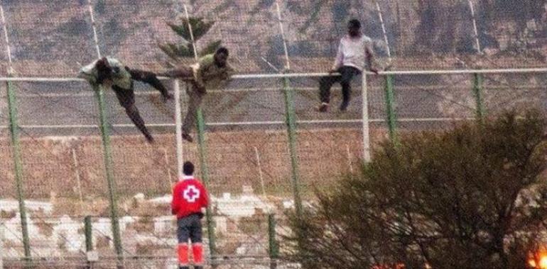 Mediu millar dinmigrantes intenten entrar en Melilla per dellos puntos de la valla fronteriza