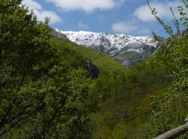 #Asturias reconoce la profesión de #guía de #montaña y 31 nuevas actividades de #Turismo #Activo