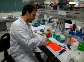 Confirman la relación de 40 variantes de ADN con el cáncer de mama hereditario