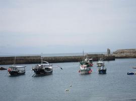 Foro pide una Mesa Sectorial de Pesca para Asturias