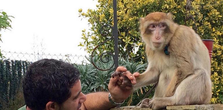 El #Zoo de #Oviedo se traslada a las aulas con algunos de sus animales