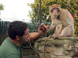 El #Zoo de #Oviedo se traslada a las aulas con algunos de sus animales